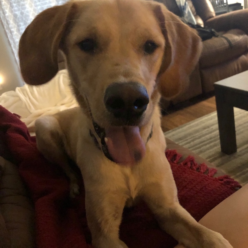 Meet your Posher, Halle